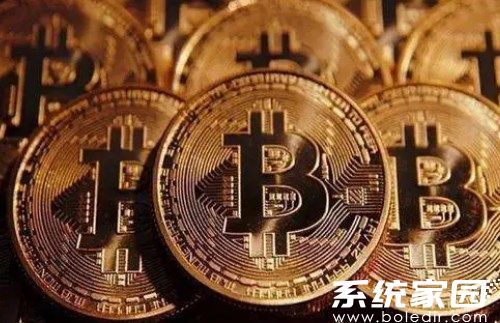 bika币钱包系统架构