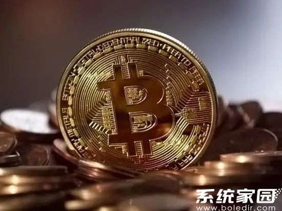 STX币移动端服务