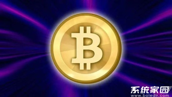PUNK币技术进展与市场预期