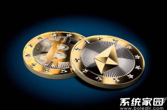 星币钱包注册流程示意图