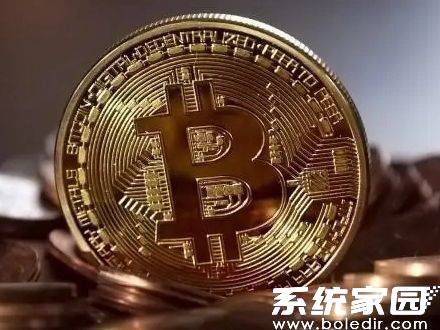 zbu4e2du5e01u6700u65b0u72482024u4e0bu8f7d