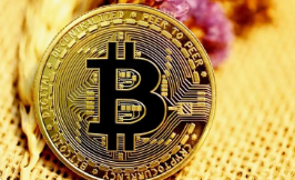 GoPay支付密码管理示意图