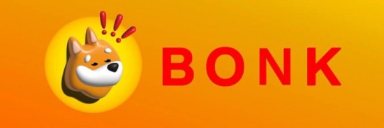 BONK币价值增长潜力全景解读