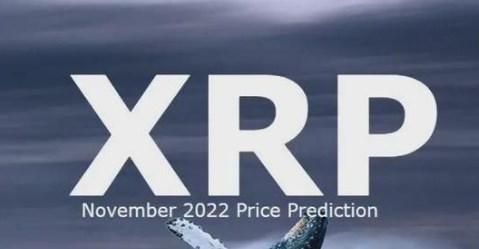 XRP账户操作指南