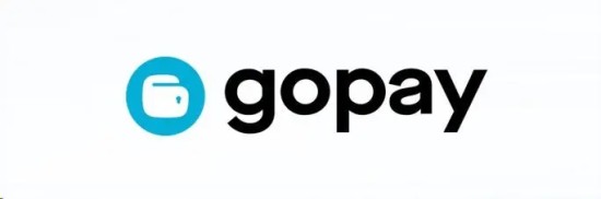 GOPAY钱包功能解析与安装指南