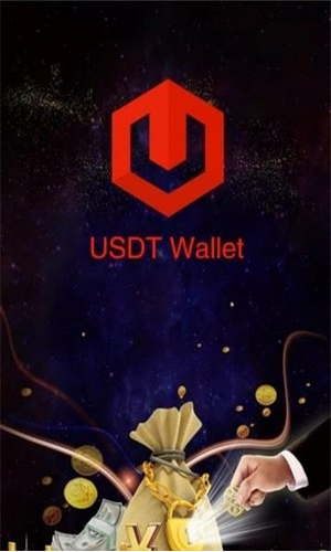 USDT钱包多链交易界面