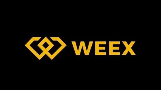 WEEX交易所资产提现操作界面示意图
