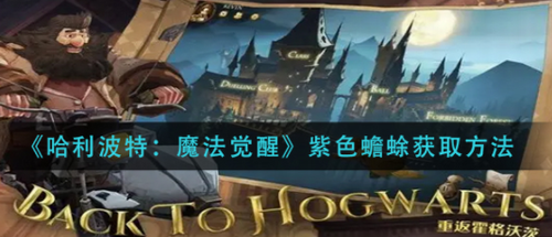 哈利波特魔法觉醒紫色蟾蜍获取攻略