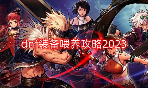 DNF装备喂养三大完美攻略技巧解析