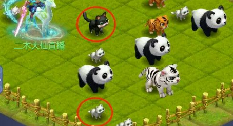 梦幻西游网页版守卫仙境通关阵容搭配指南