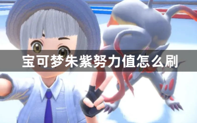 宝可梦朱紫努力值速刷技巧攻略