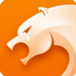 猎豹浏览器极速追剧安全上网v5.28.1 最新版
