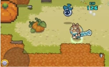 南瓜种植示意图