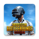 PUBGM全球服内置菜单免费畅玩