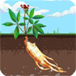 赶山夺笋山林经营探索实录v1.0 无限金币版