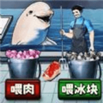 鲨鱼怪谈深海谜境探索