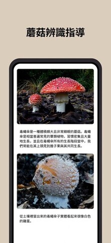 u8611u83c7u8bc6u522bu626bu4e00u626b