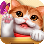 治愈系猫咪养成手游全新上线v2.5 无限金鱼版
