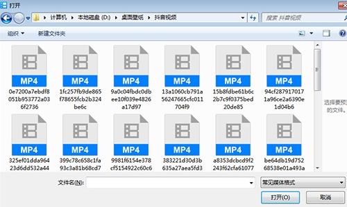 u66b4u98ceu5f71u97f3