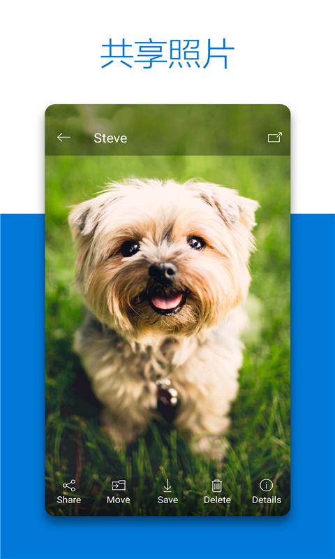 onedriveu7f51u76d8