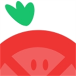 番茄动漫高清资源免费追番v1.0.0 安卓版