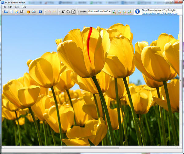 软件操作界面演示