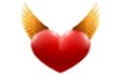 DNS Angel
