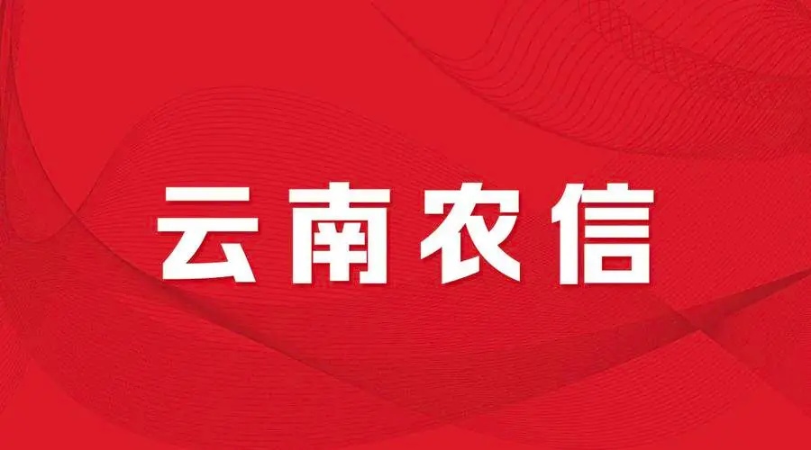 网银安全界面