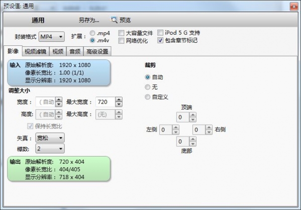 格式选择界面