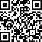 疯狂的小偷无限资源畅玩版